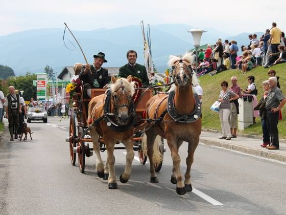 Blumenkorso 2013 in Strallegg Pferde (C) Oststeiermark Tourismus