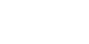 Ziergrafik Blume weiß