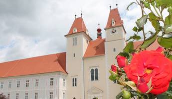 Rosen im Stift Vorau (C) Oststeiermark Tourismus