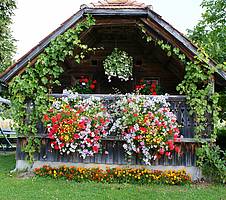 Feldkasten mit prunkvollem Blumenschmuck (C) Gemeinde Pöllauberg