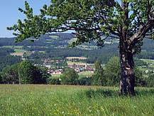 Aussicht auf Miesenbach bei Birkfeld (C) Studio Fotogen