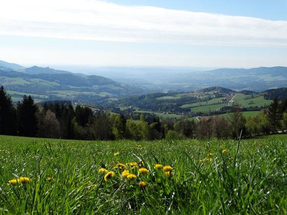 Aussicht von der Wildwiesenwarte (C) Oststeiermark Tourismus