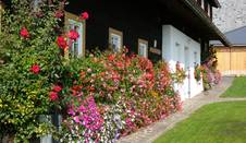 Blumenschmuck in Fischbach (C) Johann Zink