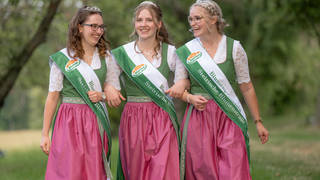 Amtierende Hoheiten
