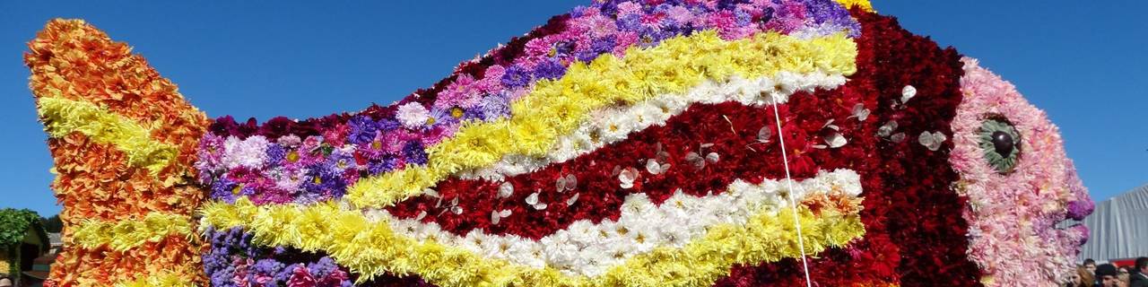 Die Blumenhoheiten der Steirischen Blumenstraße